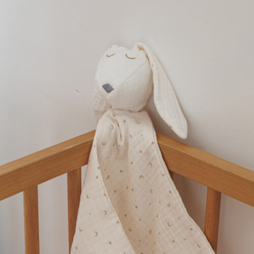 481083094_586638921032484_2138095762367597411_n